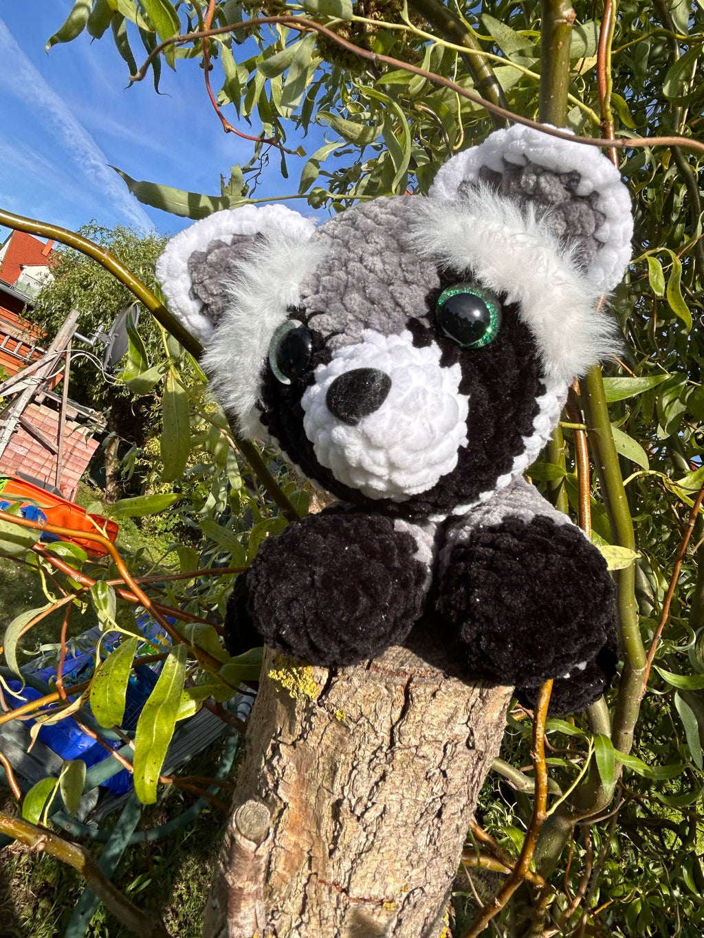 Waschbär Maxi🦝