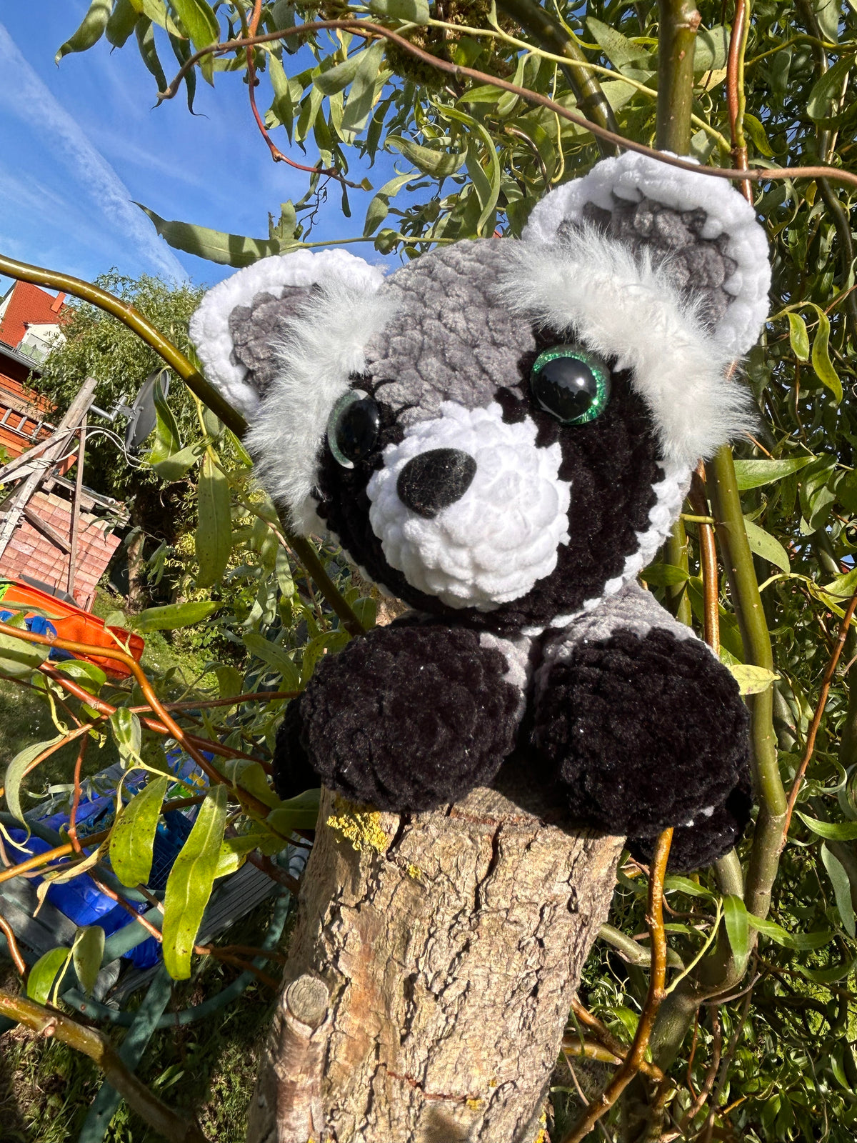 Waschbär Maxi🦝