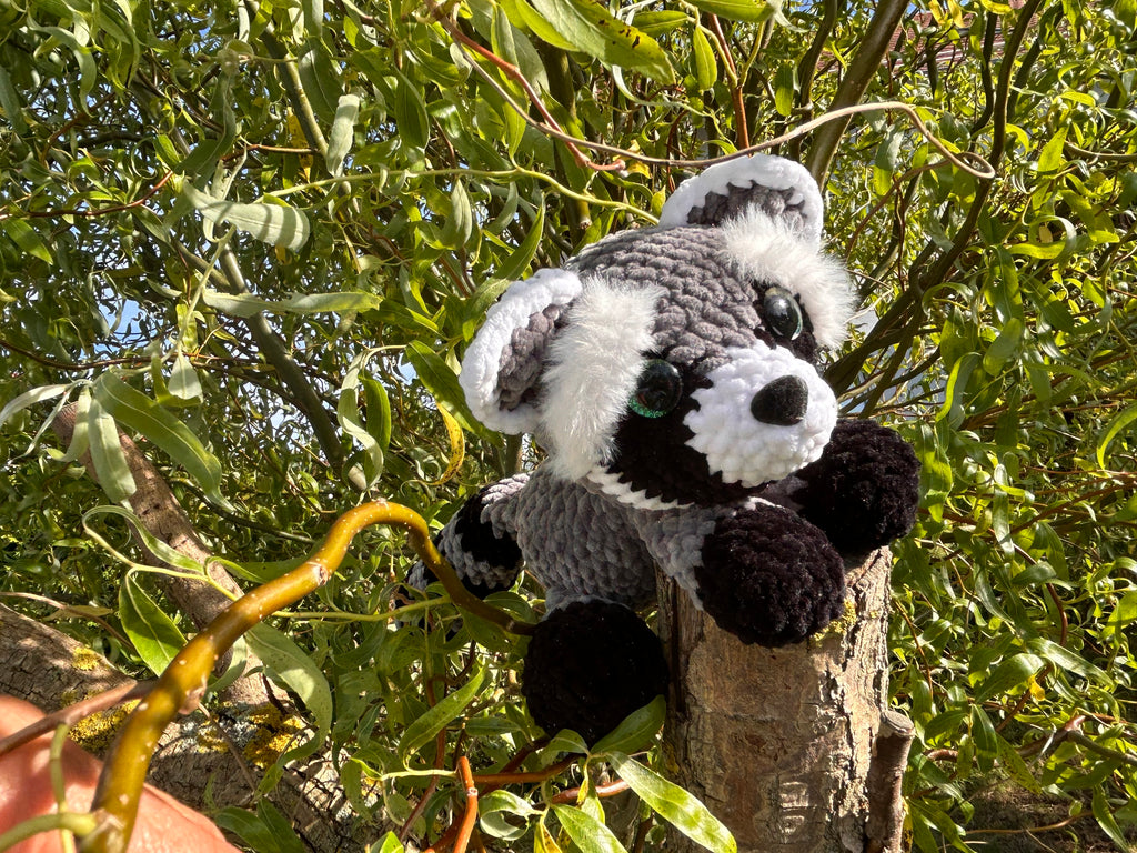 Waschbär Maxi🦝