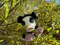 Opossum Merle