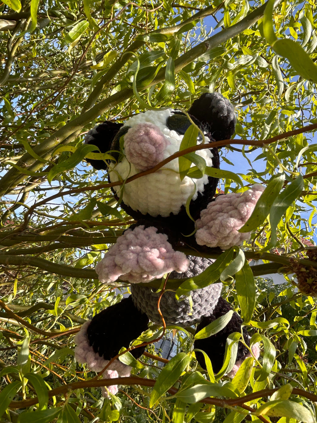 Opossum Merle