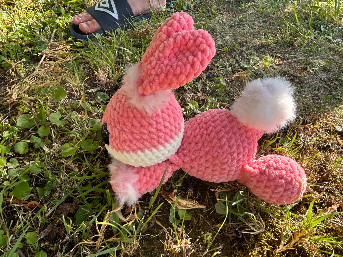 Hase Purzel🐰