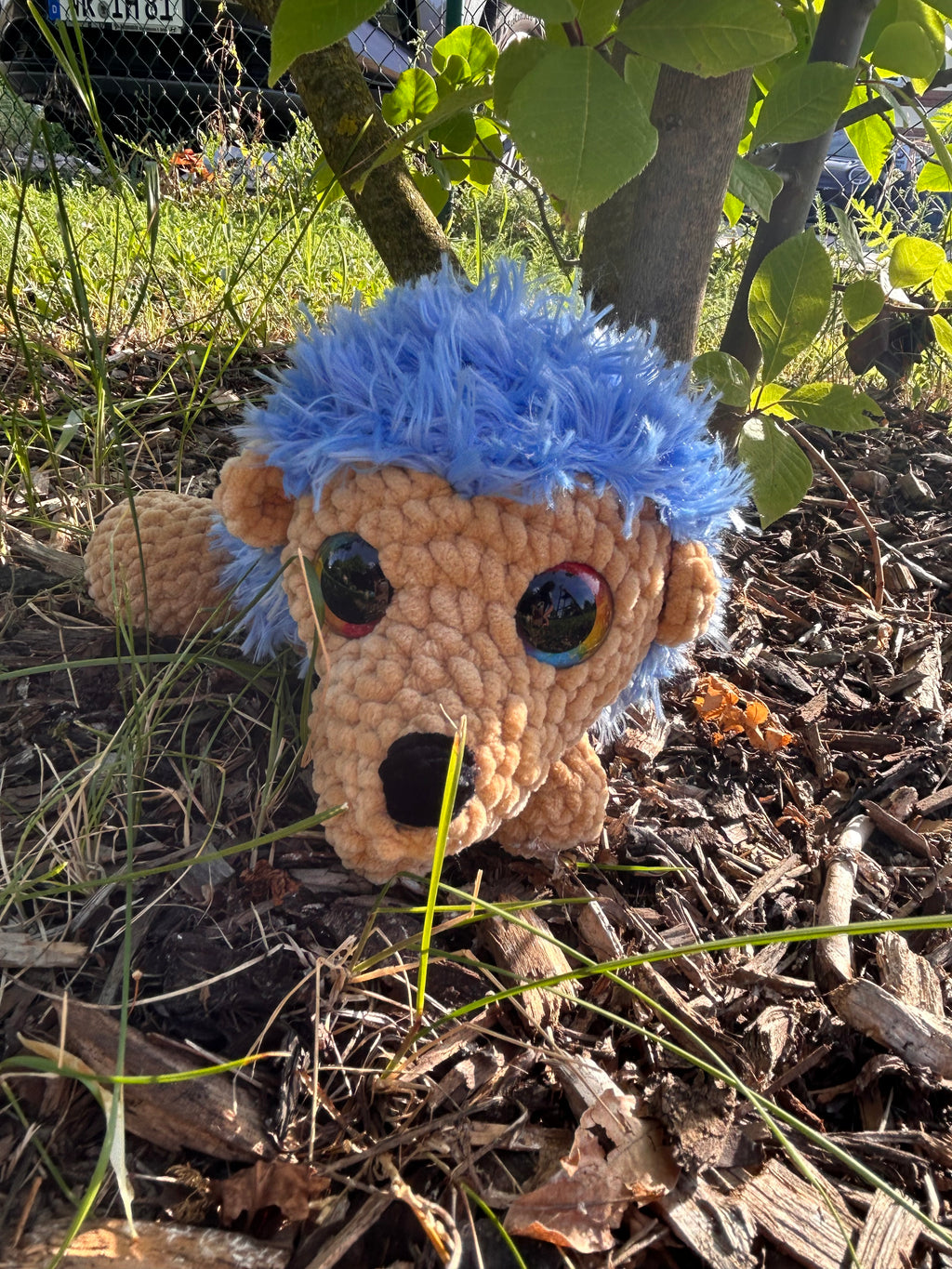 Igel Matti🦔