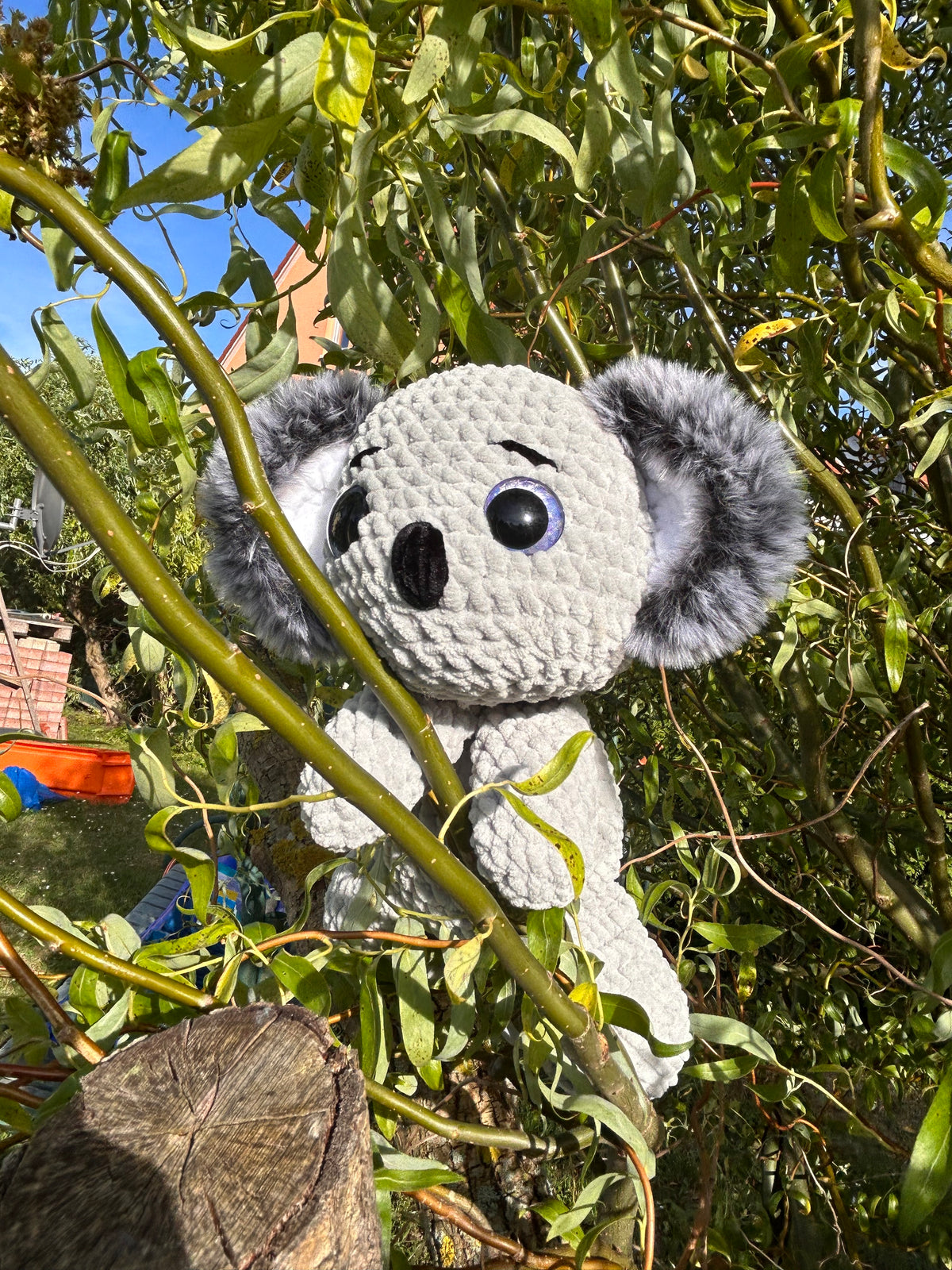 Koala Waldi🐨