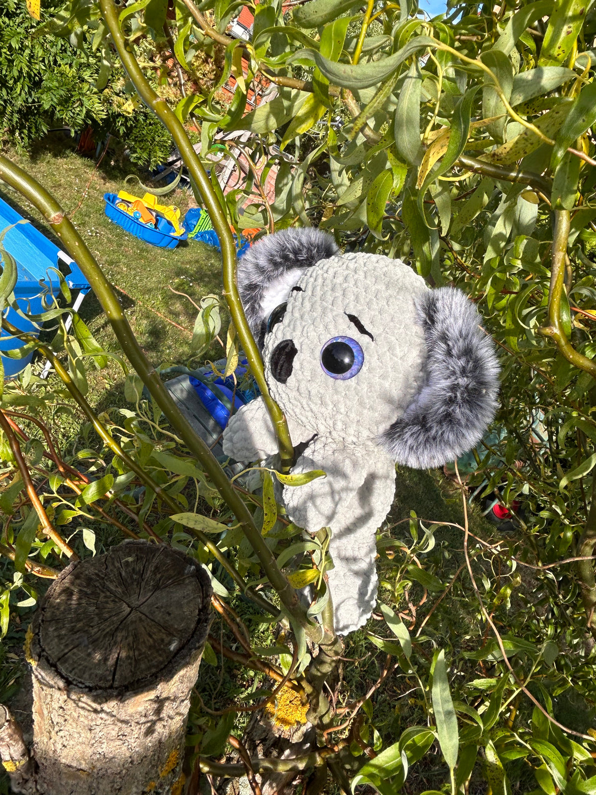 Koala Waldi🐨