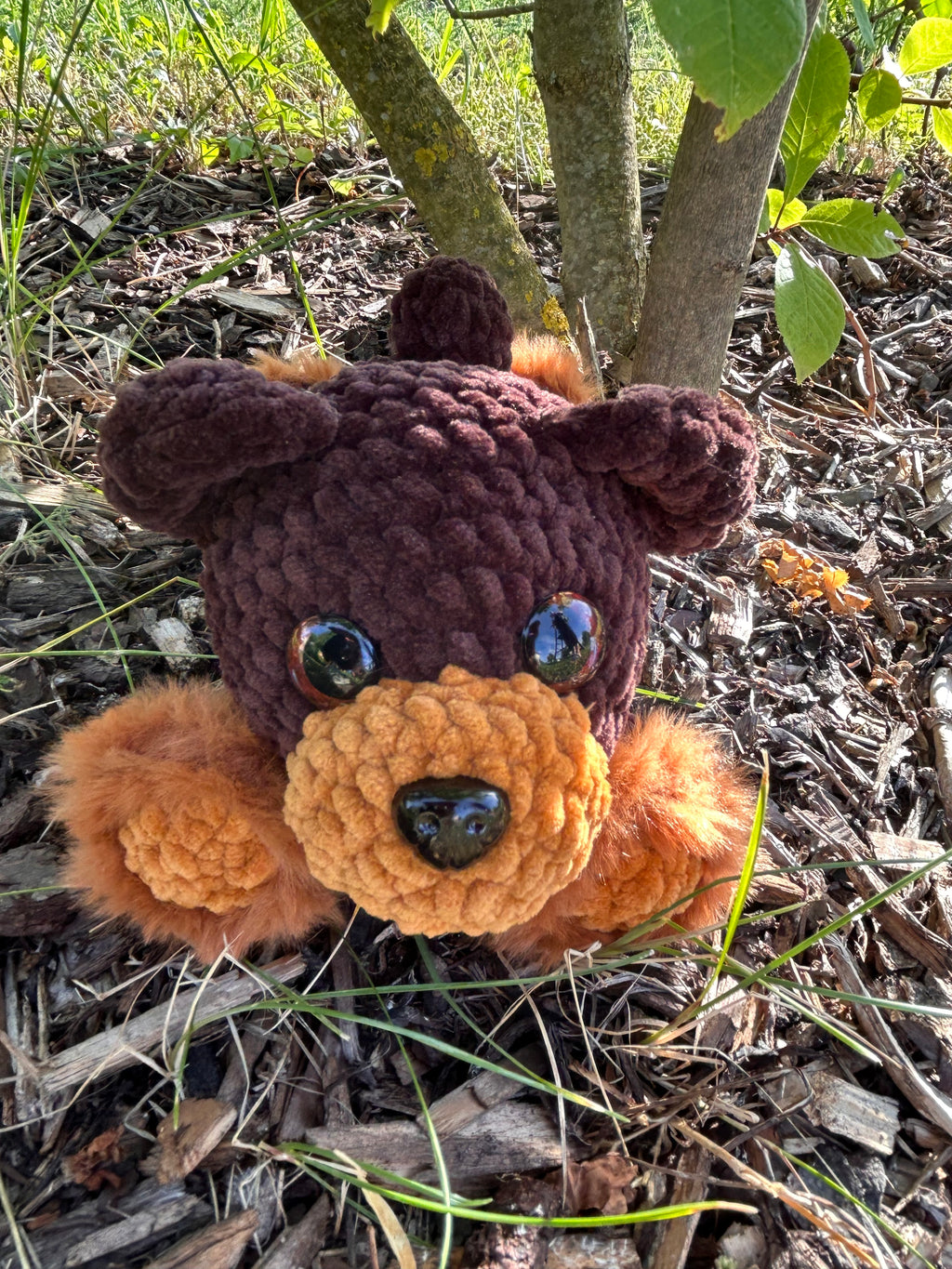 Braunbär Winni🧸