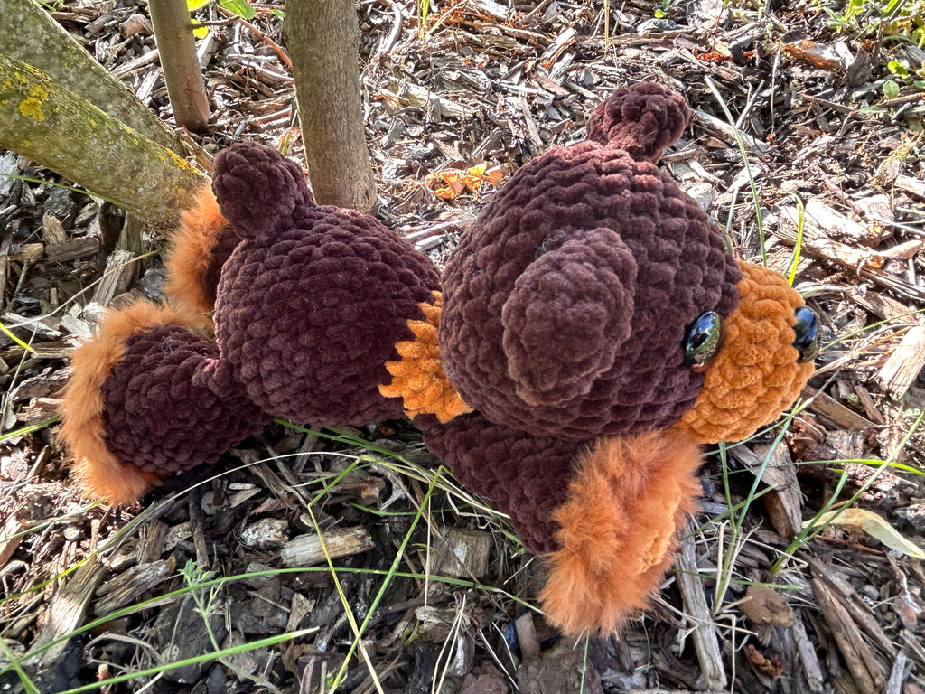 Braunbär Winni🧸