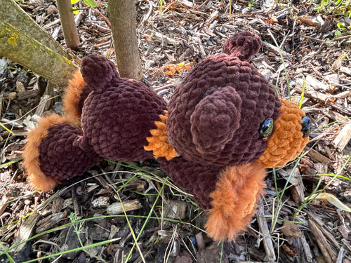 Braunbär Winni🧸