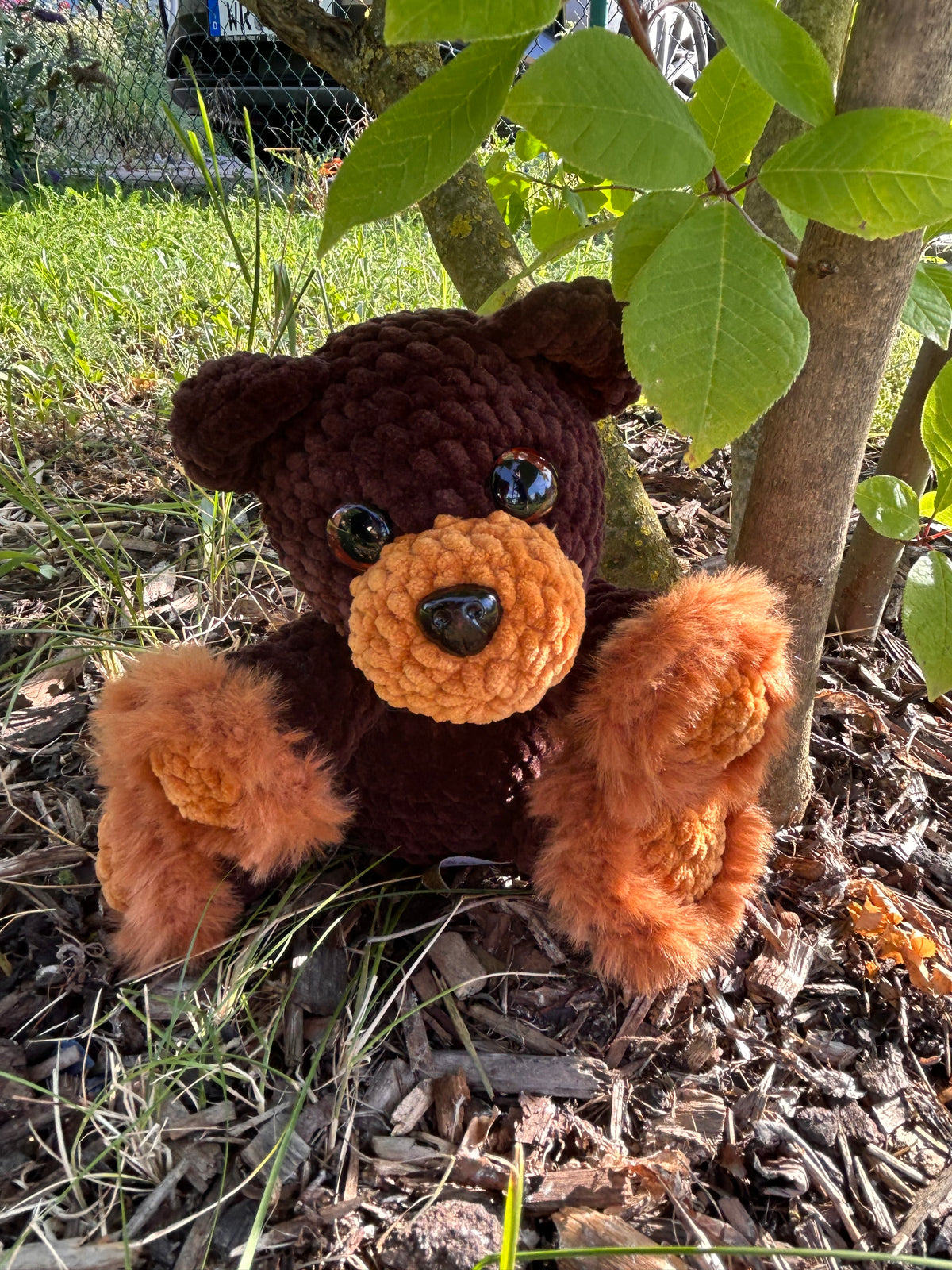 Braunbär Winni🧸