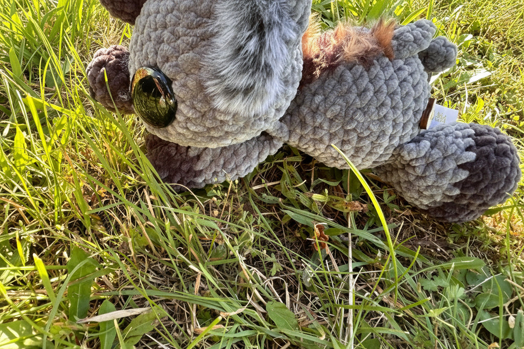 Trüffelschwein Babe