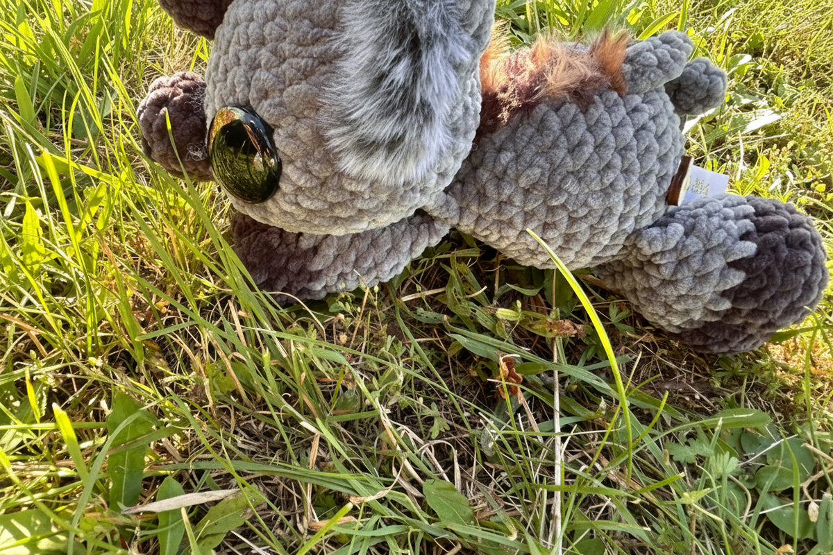 Trüffelschwein Babe