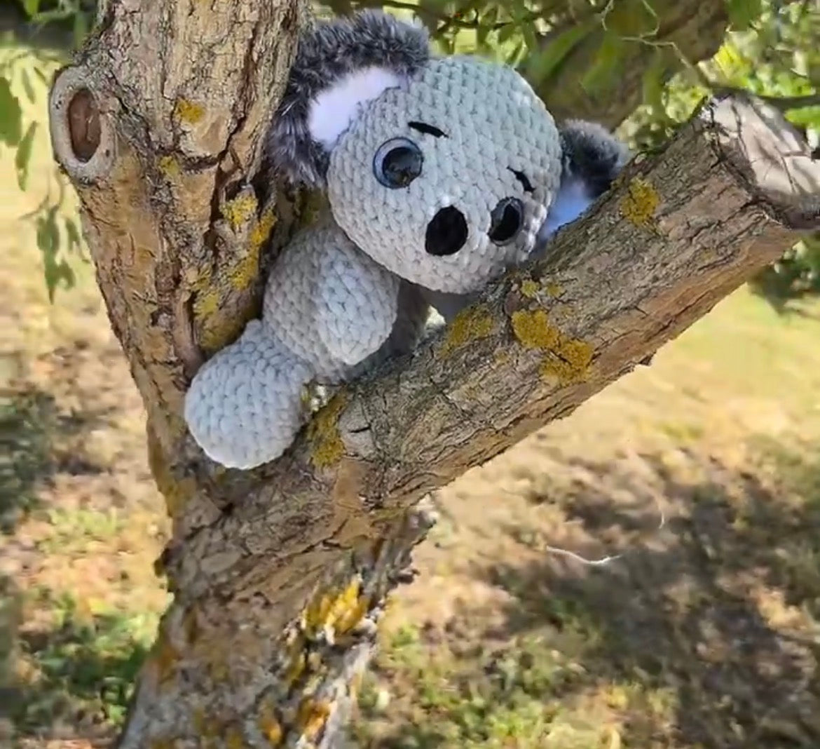 Koala Waldi🐨